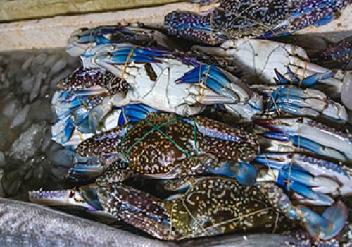 0979c15ef92acda27f6219843d71dd8d