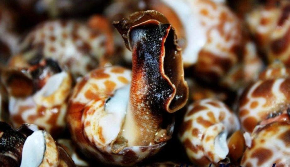 Screenshot_20220407-232328_Facebook