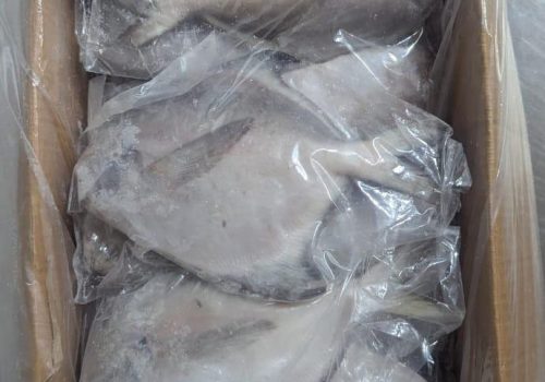 WhatsApp Image 2025-12-11 at 11.55.37 PM (1)