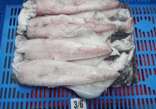 WhatsApp Image 2025-12-30 at 2.53.18 PM (1)