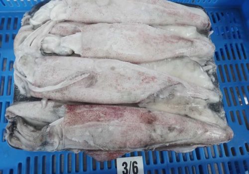 WhatsApp Image 2025-12-30 at 2.53.18 PM (2)