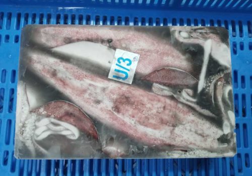 WhatsApp Image 2025-12-30 at 2.53.20 PM (1)